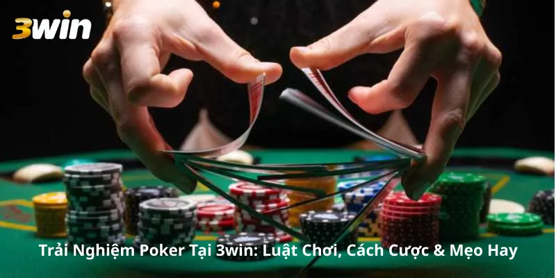 Trải Nghiệm Poker Tại 3win: Luật Chơi, Cách Cược & Mẹo Hay