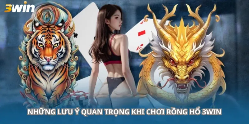 Những Lưu Ý Quan Trọng Khi Chơi Rồng Hổ 3Win